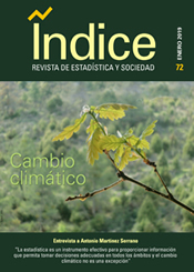 Portada Revista Indice